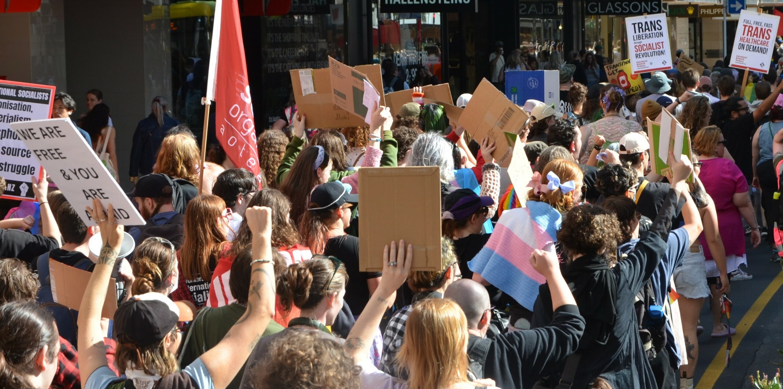 Puberty Blockers & Hormones on Demand!