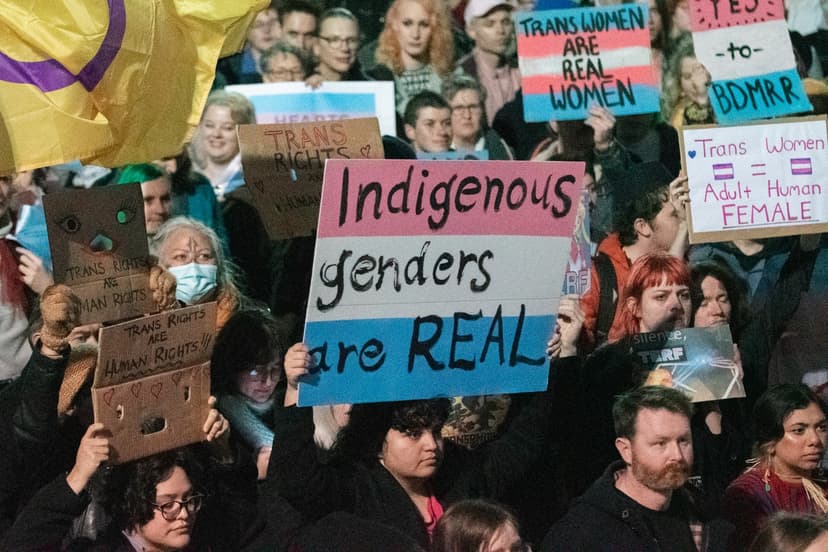 Birth Certificates & Bullies